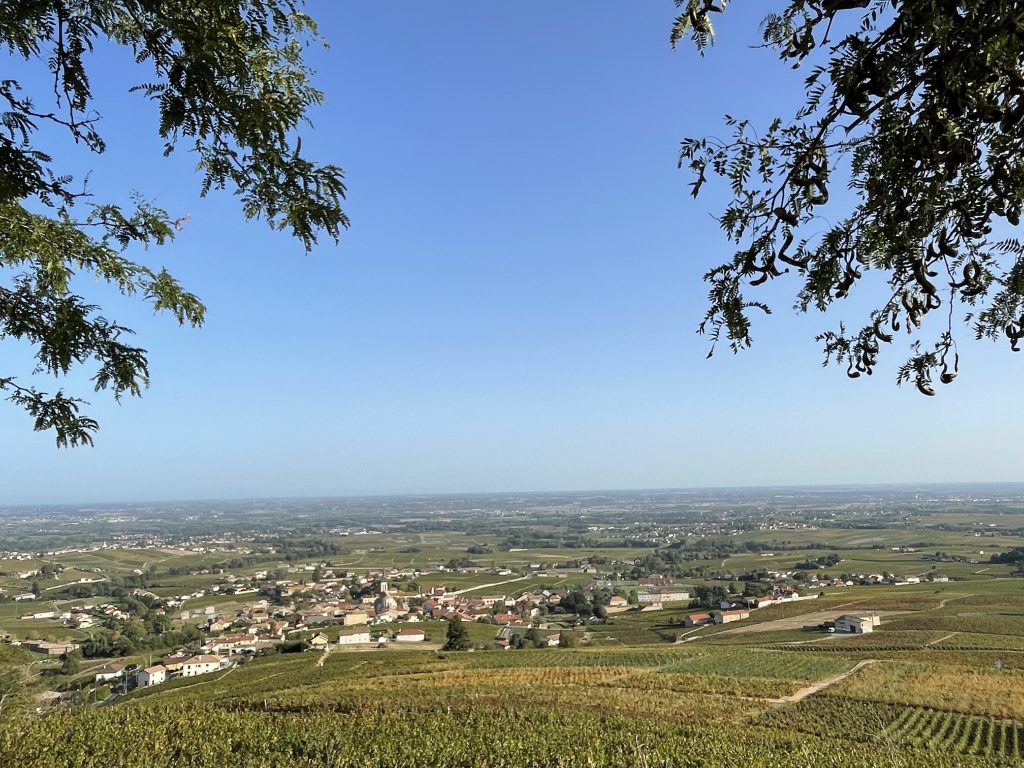 Le Beaujolais depuis la chapelle de la Madone à Fleurie